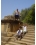 Familyby