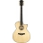 Acoustic GAce Grand Auditorium Koa Fall Limited