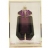ALIEN de Thierry Mugler 139953