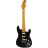Artist David Gilmour Signature Stratocaster Relic