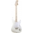 Artist Robin Trower Signature Stratocaster