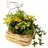 Balconnière<a title='composition florale pour la saint-valentin' href='http://www.familyby.com/boutiques/detailCategorie/4211' style='text-decoration:none; color:#333'><strong> fleur</strong></a>ie Coin de soleil