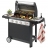 Barbecue à gaz CAMPINGAZ GENESCO CLASSIC 4 L - 3000001237