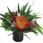 <a title='auriez-vous une idée cadeau pour la Saint-valentin ?' href='http://www.familyby.com/boutiques/index/7' style='text-decoration:none; color:#333'><strong>Cadeau</strong></a>x gourmet Bouquet gourmand orangé rouge