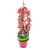 Cage aux<a title='bouquet de fleurs pour la saint-valentin' href='http://www.familyby.com/boutiques/detailCategorie/4211' style='text-decoration:none; color:#333'><strong> fleurs</strong></a>