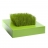Carré de verdure Chlorophylle Vert
