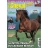 Cheval Junior - Abonnement 12 mois - 12N°