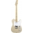 Classic Player Baja Telecaster (Modèle Arrêté)