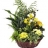 Composition plantes et<a title='bouquet de fleurs pour la saint-valentin' href='http://www.familyby.com/boutiques/detailCategorie/4211' style='text-decoration:none; color:#333'><strong> fleurs</strong></a> Panier de printemps