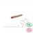 COULEUR CARAMEL - Crayons Sourcils - 2g ( Beige Blonde - 122 )