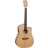 Evolution Dreadnought 28CEXFM