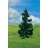 Faller Modélisme accessoires de décor H0 - Végétation - Arbres premium : 2 épicéas réalistes