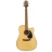 G Series Dreadnought - EG340SC-NS