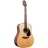 G Series Dreadnought - G320-NS