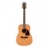 Guitare Acoustique AW15-LG