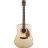 Guitare Acoustique CD-280S 096-0281-021