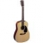 Guitare Acoustique D28