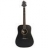 Guitare Acoustique Dryade D6 BK