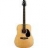 Guitare Acoustique SW201N Naturel