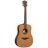 Guitare Acoustique Tramontane T300D