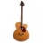 Guitare Electro Acoustique Electra