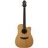 Guitare Electro Acoustique ETN10C