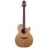 Guitare Electro Acoustique ETN40C