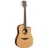 Guitare Electro Acoustique Tramontane T400DCE