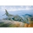 Italeri Harrier GR.3 - Falkland