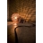 Lampe design ampoule WOODLIGHT