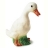 Lampe veilleuse canard egmont toys