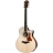 Limited Fall 2009 416ce Indian Rosewood