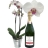 Orchidée de l'Amour et Champagne