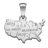 Pendentif carte u.s.a argent rhodié