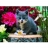Ravensburger <a title='En savoir plus sur les puzzles' href='http://weezoom.tumblr.com/post/12566332776/puzzle-1000-pieces' style='text-decoration:none; color:#333' target='_blank'><strong>Puzzle</strong></a> 1500 pièces - J'aime les<a title='bouquet de fleurs pour la saint-valentin' href='http://www.familyby.com/boutiques/detailCategorie/4211' style='text-decoration:none; color:#333'><strong> fleurs</strong></a>