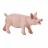 SAFARI figurine cochon de lait