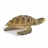 SAFARI figurine tortue