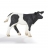 SAFARI figurine veau holstein