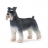 SCHNAUZER CHIEN