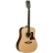 Sundance Dreadnought 15NS