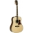 Sundance Dreadnought Massif 1000B