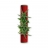 Tableau végétal tube 40cm Rouge