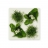 Tableau végétal-Uni Carton blanc 4 plantes