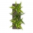 Tableau végétal-Uni Carton <a title='Offrir du chocolat à la saint-valentin' href='http://www.familyby.com/boutiques/detailCategorie/4222' style='text-decoration:none; color:#333'><strong>chocolat</strong></a> 3 plantes