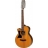 Tanglewood Premier Folk 14512SC/LH