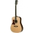 Tanglewood Sundance Dreadnought 15NS/LH