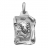 Zodiaque grand parchemin lion argent